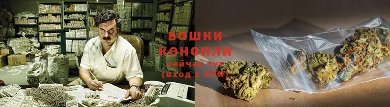 Какие есть наркотики Ленинск-Кузнецкий Cocaine  Alpha PVP  Каннабис 